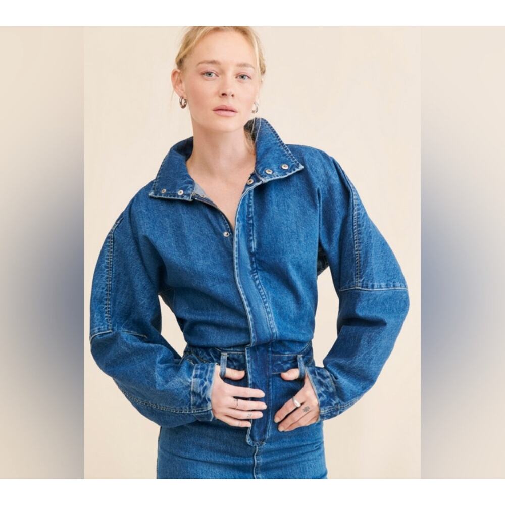 Ronny Kobo Sebastian Denim Dress Size Medium - Picture 3 of 11